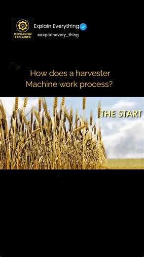 explaineverything on Instagram: "A harvester machine (combine harvester) performs cutting, threshing, separating, and cleaning crops in one continuous process 🌾⚙️ Here’s the step-by-step working process explained simply: 🌾 How a Harvester Machine Works 1️⃣ Cutting (Reaping) The header at the front has sharp rotating blades. These blades cut crops like wheat, rice, or corn at the base. A reel guides the cut crop smoothly into the machine. 2️⃣ Feeding An auger and conveyor move the cut crop towa