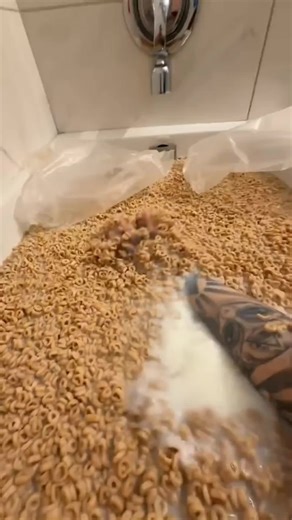 #Meme #cereal #brainrot | Cereal Meme