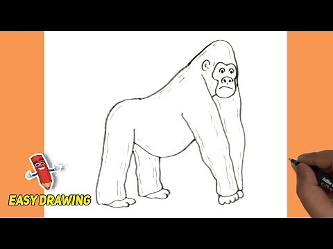 How To Draw A Gorilla Step BY Step | A Gorilla Easy Line Drawings | A Gorilla drawings Tutorials
