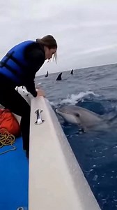 3.4M views · 3.3K reactions | Orca angry people stole its meal… | AI Dog Scientist | Facebook