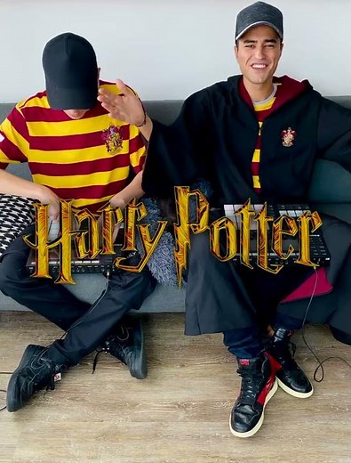 TRINIX - HARRY POTTER REMIX