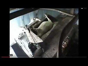 RENDERING PLANTS - DEAD ANIMALS ARE GROUND UP AND PUT IN OUR FOODS!