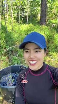 4 Hours Foraging for Blueberries and Mushrooms in the Forest: How Much Did I Earn? #thuyjyrifamil...