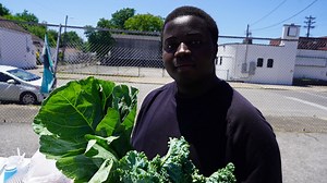 Common Earth Gardens cultivating community for local refugees