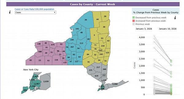 Monroe County reports 675 flu cases as statewide infections drop