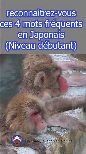 Test Your Japanese Level (Beginner Level) #japanese #learn #beginner