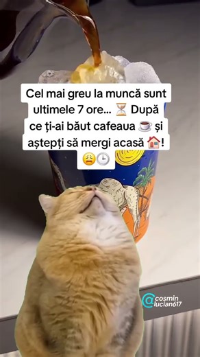 Ultimele 7 ore la muncă sunt ca un loading infinit ☕️⌛ #FărăChef #HaiAcasă