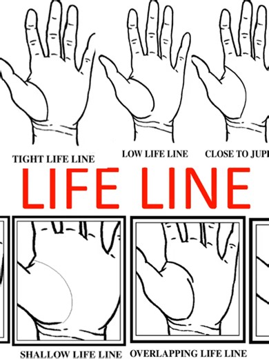 HOW TO READ LIFE LINE