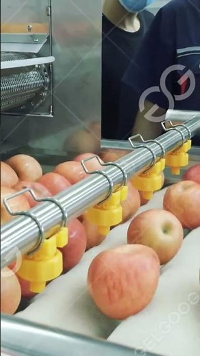 Fruit Apple Washing Machine #machine