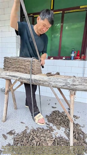 Peeling Nature's Canvas: How Traditional Techniques Transform Bark into Writing Surface