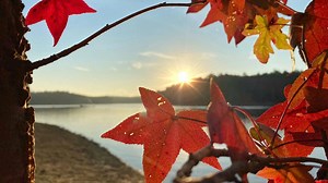 North Georgia mountains: Leaves changing colors, great adventures await