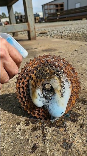 Rusty Bicycle Cassette Restoration ⚙️