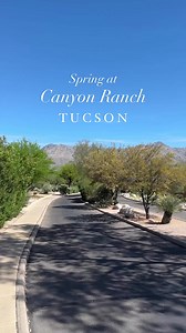 204 reactions · 16 shares | All of the desert flowers are in bloom at Canyon Ranch Tucson. Experience the beauty of the desert all around as you take some time to relax and recharge. And don’t forget to say hello to the turtles and the javelinas- they’re enjoying spring too. ☀️#canyonranch #tucson #flowers #wellness #springtime #spaday | Canyon Ranch | Facebook