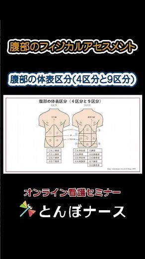 腹部のフィジカルアセスメント 腹部の体表区分(4区分と9区分)｜とんぼナース #shorts
