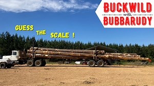 19K views · 188 reactions | WINNERS posted on my page! Thank y’all for watching UPDATE: You’ve got til 7:00cst tonight to guess! We’re looking for the Doyle scale board feet for the winner, but we’ll give another prize for the closest on the gross weight! Guess the scale! Winner gets a prize!梨 #logging #logginglife | Buckwild with Bubbarudy | Facebook