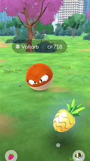 Pokémon GO - Excellent Throw of the Day - Voltorb #pokemongo #excellentthrow