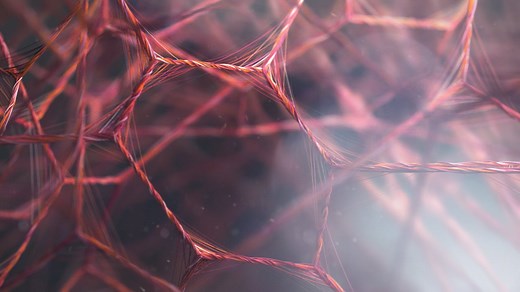 Nike Free TR 5 Flyknit