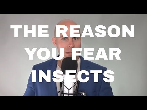 Phobia Guru explains the Fear of Insects known as Entomophobia