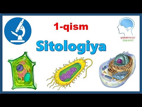 Sitologiya || Ситология 1-qism