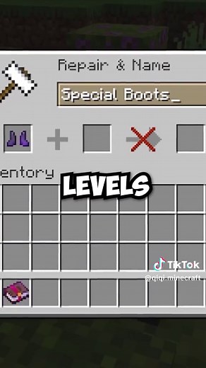Too Expensive! | swift sneaker minecraft