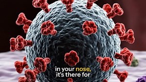 282K views · 2.9K reactions | Nasal Spray and Gargle: A Practical Viral Defense Strategy Reducing viral load at the nose and throat—the primary replication sites—can limit severity and transmission. Regular use of nasal sprays and throat gargles during exposure periods supports early defense and complements other prevention measures. Support independent research: mcculloughfnd.org Credit: The Dr. Josh Axe Show — @drjoshaxe #MedicalFreedom | McCullough Foundation | Facebook