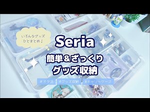 [Goods Storage] How to easily store various sizes of goods together using Seria's A4 case 💡 | Ota...
