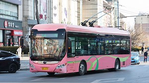 大连公交101路宇通ZK5125B（宇通电机，ZF车桥，一踏低入口）双源无轨电车运行片段2