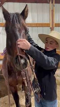 How to bridle your horse and the different types of bridles.