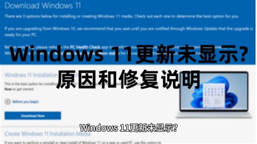 Windows 11更新未显示?原因和修复说明+Windows11系统永久激活密钥激活码