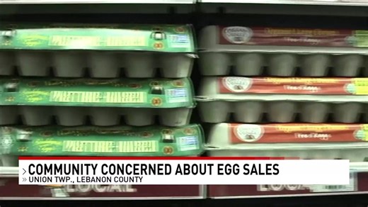 Township in Lebanon County clarifies chicken sale concerns after packed meeting