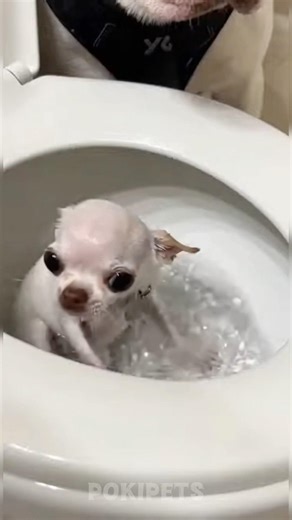 Worst bathroom prank ever 🤣😂