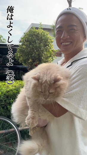 散歩中のゆーしくんに遭遇した #yushi #rizin #cat #猫