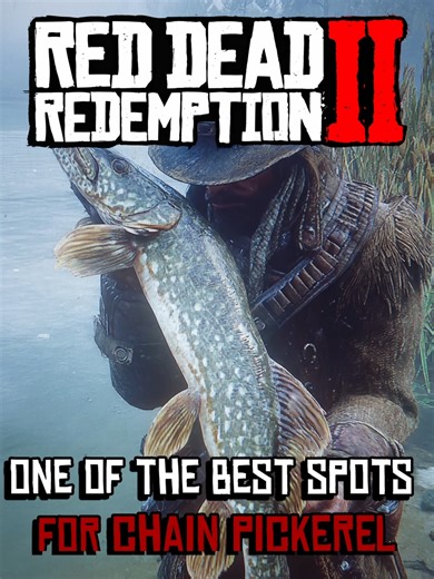 One Of The Best Spots To Catch Chain Pickerel In Rdr2 In 2026!#fishingonvideogames #shorts #hunting #videogames #fp #foryou #viral #fyp #rdr2 #fishingplanetguide #Callofthewild #fishingplanet #cotw #largemouthbassfishing #bass #rdr2clips #reddeadonline #reddeadredemtion2 #rdr2moment #cotwcontent