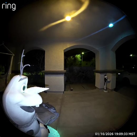 Olaf scares the delivery driver #jumpscared #olaf #frozen #frozen2 #funny