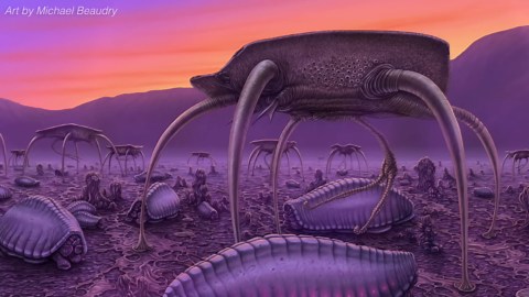 The Alien Biology Project Built Like Real Science
