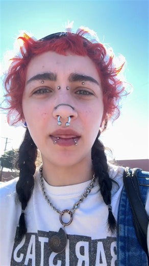 Daily Reflections on My Walk Home