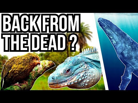 5 Animals That Came Back From The Brink Of Extinction