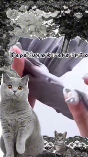 WHY IS IT ALWAYS CUTT