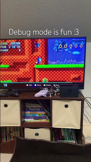Debug mode is fun #sonic #sonicthehedgehog