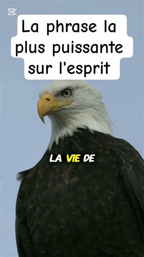 La phrase la plus puissante sur l'esprit