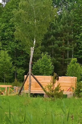 ONE Year a Man Builds the Log Cabin of his Dreams Alone in the Forest, Start to Finish | Jack & Manning