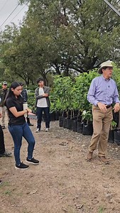 5.5K views · 1.3K reactions | Los Beneficios Ambientales de la Anacahuita Mexican Olive Cordia boissieri CONOCIENDO LOS ÁRBOLES DESDE SUS RAÍCES Con Alumn@s de Arquitectura de la Universidad de Montemorelos . Del Desierto al bosque en un momento . Pioneros en Producción de Especies Nativas y naturalizadas del Norte y altiplano mexicano . #arboles #arquitectura #arquitecturadelpaisaje #educación #medioambiente #treenursery | VIVEROS REGIONALES | Facebook