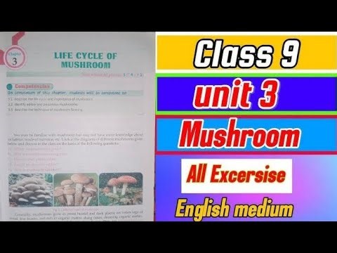 Class 9 Science Chapter 3 Mushrooms Solution 2082 | Class 9 Science Chapter 3 Exercise Solution 2082