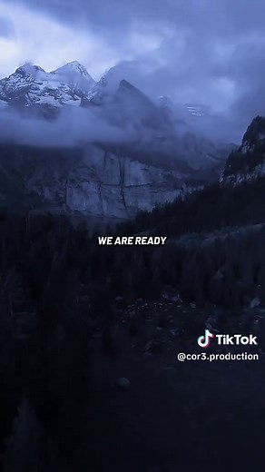 P!nk - What About Us: Lyrics and Meaning