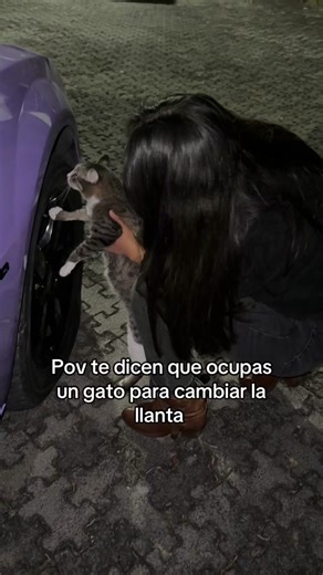 Cómo cambiar una llanta con humor