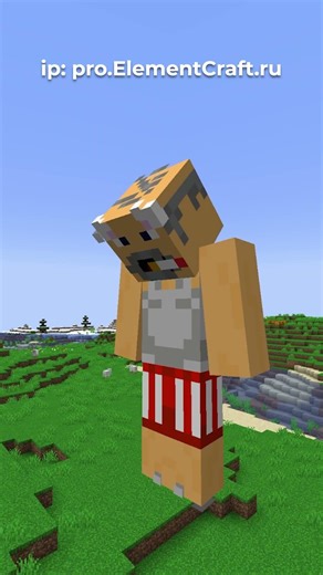 Big Brother ~ Elemental Server #minecraft