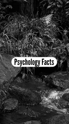 Psychology | Facts | Quotes on TikTok