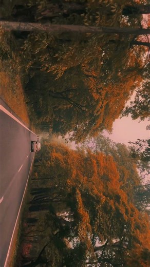 “Ek baar jee lee… kyunki dobara mauka nahi milta 💔”