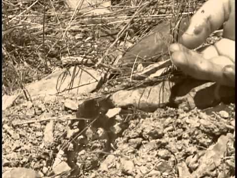 Forgotten Gunfighters: The Pleasant Valley War