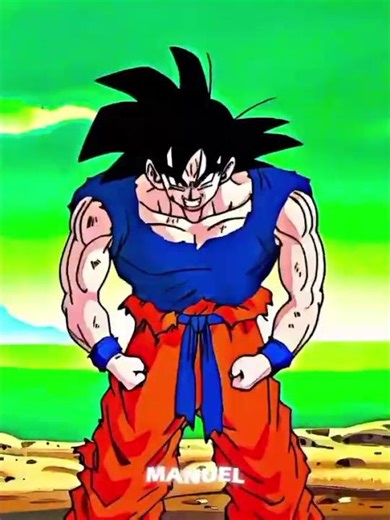 pelo akira toriama